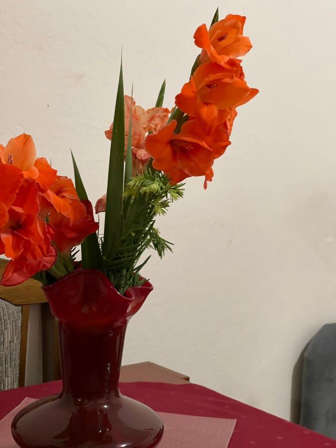 Apartmani Miro Trebinje Buitenkant foto